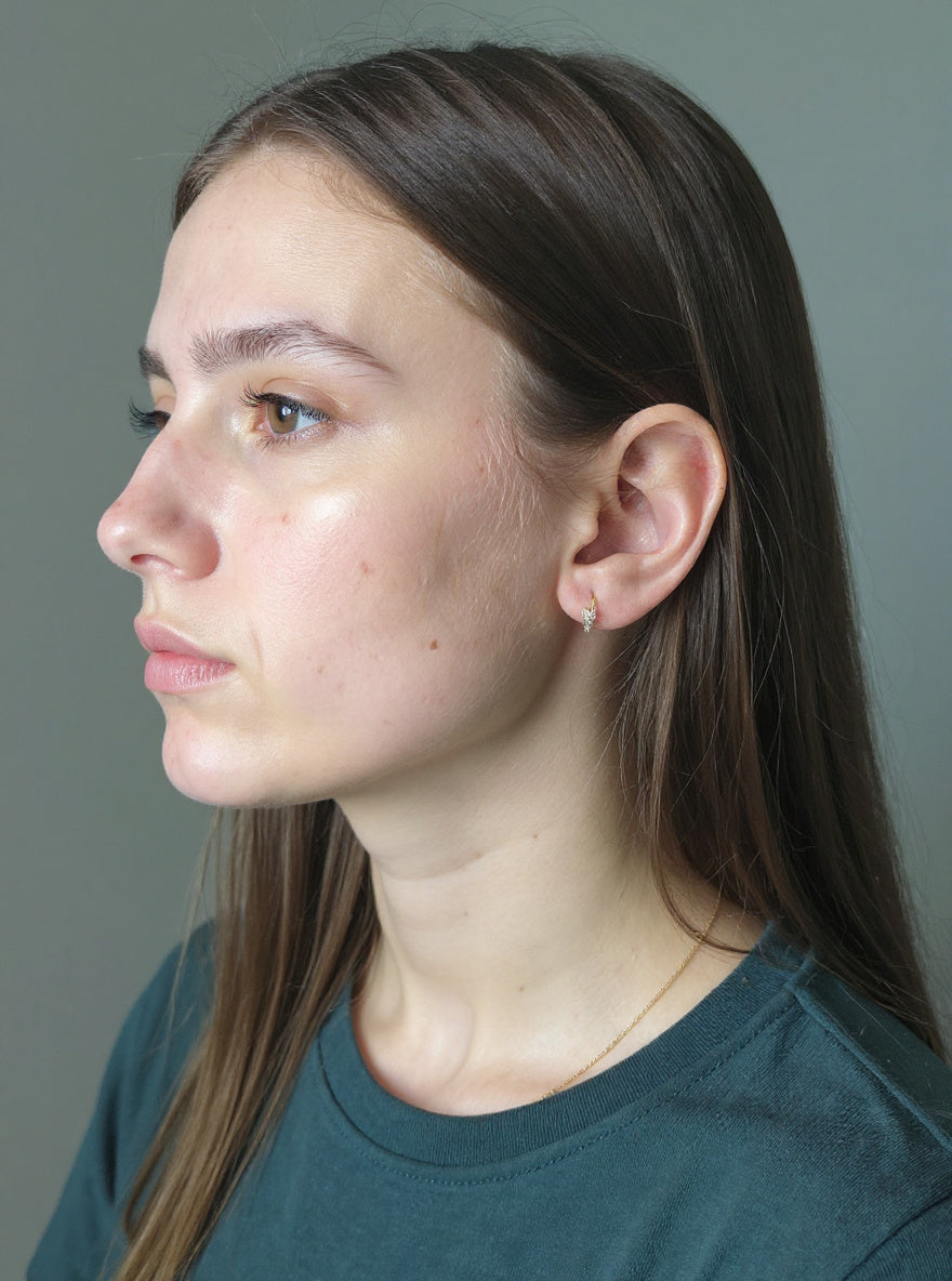 Vlinder Oorbellen met Zirkoon - Zilver